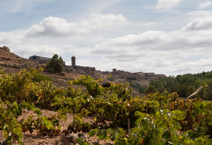 carrusel-bodegaslacelestina-02